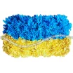 Украина