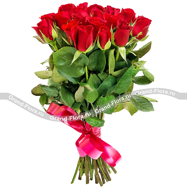 Красные розы - букет из роз